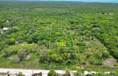 2.8 Acres Along Serenity Road, Corozal District, Belize