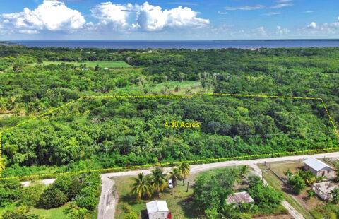 Investment Property – 4.30 Acres of Pristine Land, Ranchito Village, Corozal