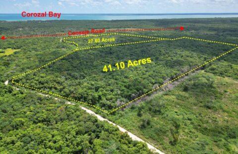 41.10 Acres at Rancho Tres Palmas in Corozal