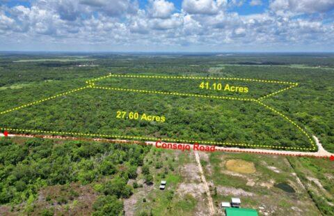 68.70 Acres at Rancho Tres Palmas in Corozal