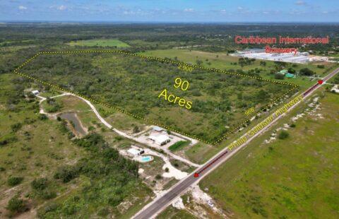 Carmelita Hibiscus Estate – 90 Acres in Orange Walk