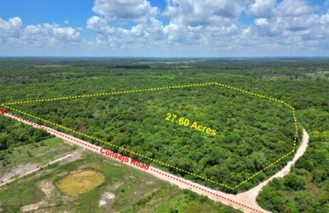 Rancho Tres Palmas – 27.60 Acres in Corozal