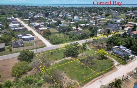 3 Commercial Lots on Olga Marin Drive in Corozal Town